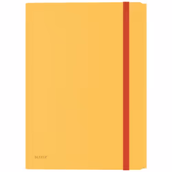 Leitz 46190019, Dossier de dessin, A4, Polypropylène (PP), Jaune, Mat, 150 feuilles