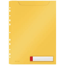 Leitz 46680019 protecteur de feuilles 210 x 297 mm (A4) Polypropylène (PP)