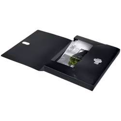 Leitz 46230095 boîte à archive 250 feuilles Noir Polypropylène (PP)