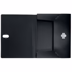 Leitz 46230095 boîte à archive 250 feuilles Noir Polypropylène (PP)