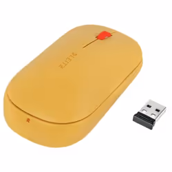 Leitz Cosy, Ambidextre, RF sans fil + Bluetooth, 4000 DPI, Orange