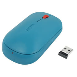 Leitz Cosy souris Ambidextre RF sans fil + Bluetooth 4000 DPI