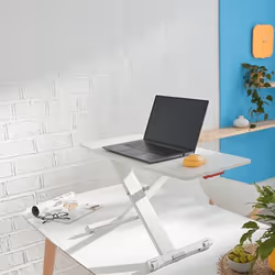 Leitz 65330085 pupitre Gris