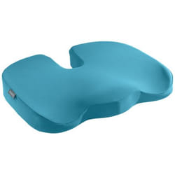 Leitz Ergo Cosy Bleu Coussin de chaise