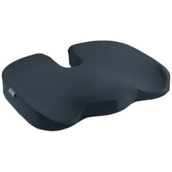Leitz Ergo Cosy Gris Coussin de chaise