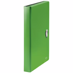 Leitz 46240055, 250 feuilles, Vert, Polypropylène (PP), A4, Climate Neutral, 240 mm