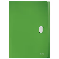 Leitz 46240055 boîte à archive 250 feuilles Vert Polypropylène (PP)