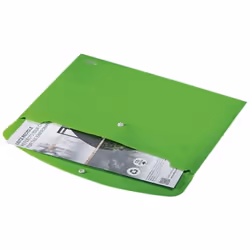 Leitz 46780055 fichier Polypropylène (PP) Vert A4