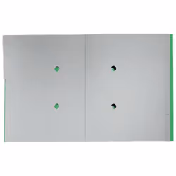 Leitz 39150055 intercalaire Carton Vert 1 pièce(s)