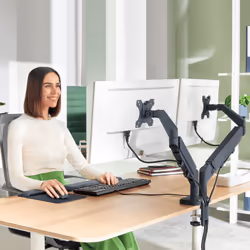 Leitz 65370089 support d'écran plat pour bureau Gris