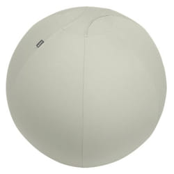 Leitz Ergo Gris Intérieure Sphérique