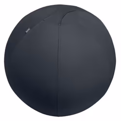 Leitz Active Sitzball 55cm