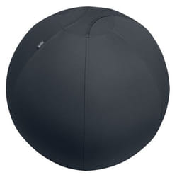 Leitz Active Sitzball 55cm Gris Intérieure Sphérique