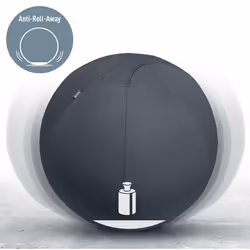 Leitz Ergo Gris Intérieure Sphérique