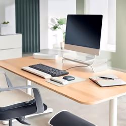 Leitz Ergo Adjustable Monitor Stand 27" Gris Bureau