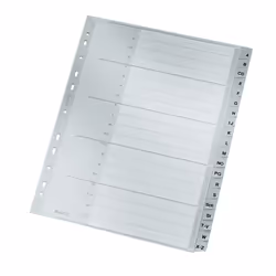 Leitz 12600000, Onglet avec index alphabétique, Carton, Gris, 250 g/m², 238 mm, 297 mm