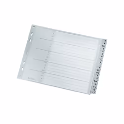 Leitz 12620000, Onglet avec index alphabétique, Carton, Gris, A4, 250 g/m², 238 mm