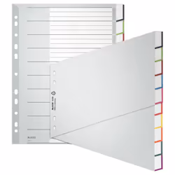 Leitz 12700000, Onglet avec index vierge, Carton, Plastique, Gris, 250 g/m², 238 mm, 297 mm