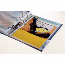 Leitz 12700000 intercalaire de classement Onglet avec index vierge Carton, Plastique Gris