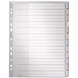 Leitz 12730000, Onglet avec index vierge, Carton, Polypropylène (PP), Gris, Portrait, A4, 240 mm