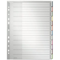 Leitz 12730000 intercalaire de classement Onglet avec index vierge Carton, Polypropylène (PP) Gris