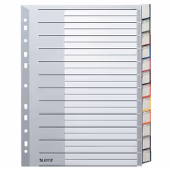 Leitz 12740000, Onglet avec index vierge, Carton, Gris, Blanc, A4, 250 g/m², 238 mm