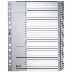 Leitz 12810000, Onglet avec index numérique, Carton, Gris, 250 g/m², 238 mm, 297 mm