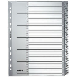 Leitz 12810000 intercalaire de classement Onglet avec index numérique Carton Gris