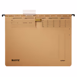 Leitz ALPHA, A4, Carton, Marron, 250 g/m², 348 mm, 268 mm