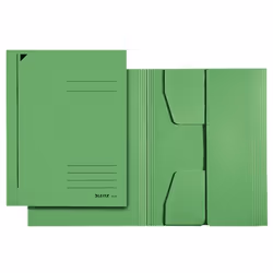 Leitz 39230055, A3, Carton, Vert, 250 feuilles, 80 g/m², 325 mm