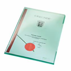 Leitz 41530055 fichier PVC Vert A4