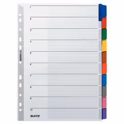 Leitz 43210000, Onglet avec index vierge, Carton, Multicolore, Portrait, A4, 160 g/m²