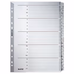 Leitz 43280000, Onglet avec index alphabétique, Carton, Gris, Portrait, A4, 2, 3, 4, 6