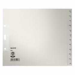 Leitz 12300085, Onglet avec index mensuel, Papier, Gris, 100 g/m², 200 mm, 240 mm