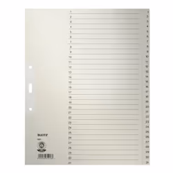 Leitz 12310085, Onglet avec index numérique, Papier, Gris, 100 g/m², 240 mm, 300 mm