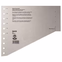 Leitz Intercalaires en carton, Onglet avec index vierge, Carton, Gris, A4, 200 g/m², 240 mm