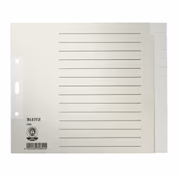 Leitz 12240085, Onglet avec index vierge, Papier, Gris, 100 g/m², 240 mm, 200 mm