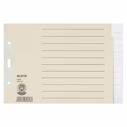 Leitz 12260085, Onglet avec index vierge, Papier, Gris, 100 g/m², 240 mm, 240 mm