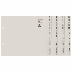 Leitz 13040085, Onglet avec index alphabétique, Papier, Gris, 100 g/m², 240 mm, 200 mm