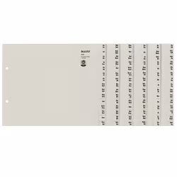 Leitz 13240085, Onglet avec index alphabétique, Papier, Gris, 100 g/m², 240 mm, 200 mm
