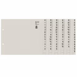 Leitz 13360085, Onglet avec index alphabétique, Papier, Gris, 100 g/m², 240 mm, 200 mm