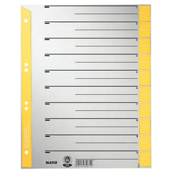 Leitz Intercalaires en carton