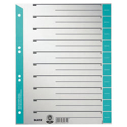 Leitz Intercalaires en carton