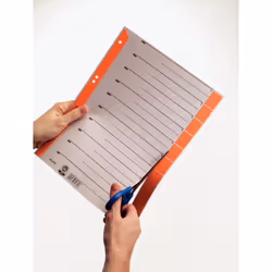 Leitz 16520055 intercalaire de classement Onglet avec index numérique Carton Vert, Gris