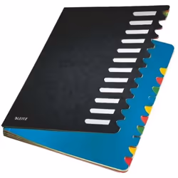 Leitz 59120095, Noir, 245 mm, 320 mm, 1 pièce(s)