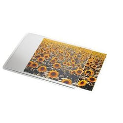 Esselte 67691 tapis de souris Transparent, Blanc