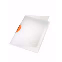 Leitz 4174, Synthétique ABS, 30 feuilles, A4, 220 mm, 5 mm