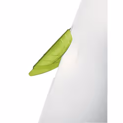 Esselte ColorClip Magic protège documents Polypropylène (PP) Vert foncé, Translucide