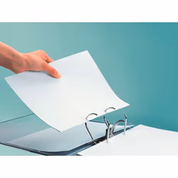 Leitz 10165035 classeur à anneaux A4 Bleu