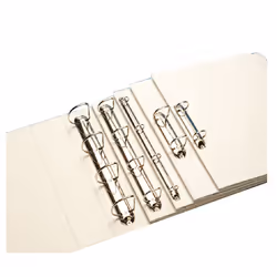 Leitz 42850001 classeur à anneaux A4 Blanc